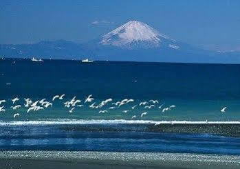 Tateyama Seaside Hotel Bagian luar foto